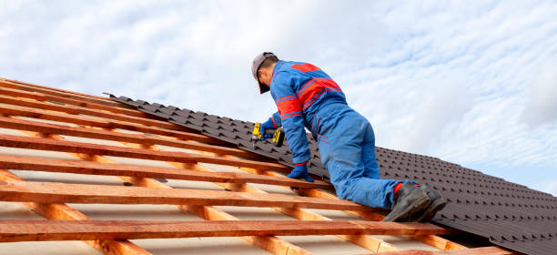 Best Rubber Roofing (EPDM, TPO)  in Laguna Niguel, CA